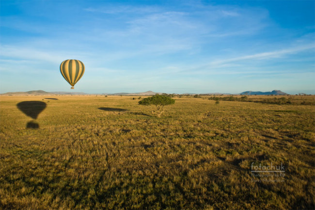 Top-10-Hot-Air-Ballooning-serengeti-Photo-by-Darcy-Michaelchuk-740x493
