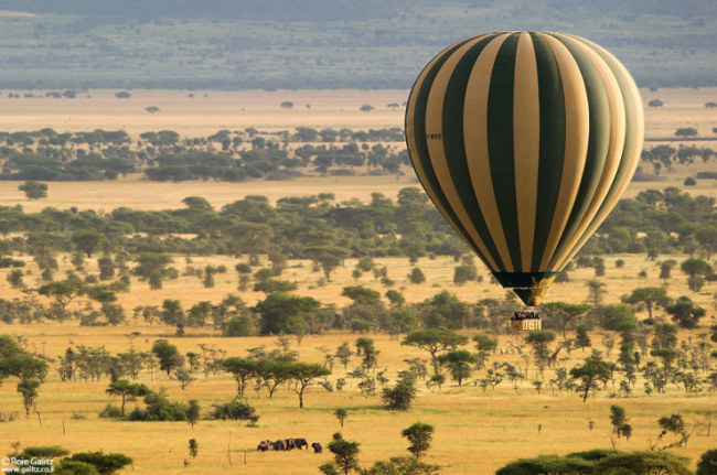 Top-10-Hot-Air-Ballooning-serengeti-Photo-by-Roie-Galitz-740x491