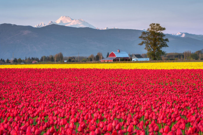 Top-10-Spring-Destinations-Mt-Baker-Photo-by-Ray-Green-740x491