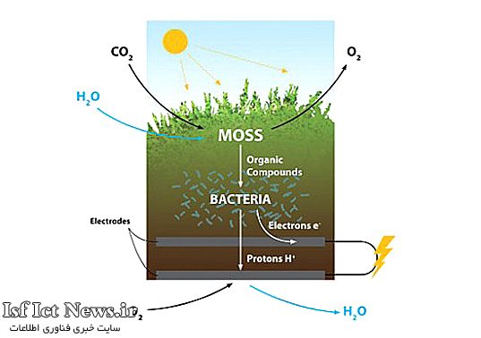 Biophotovoltaics-Moss-Planter-Table-3