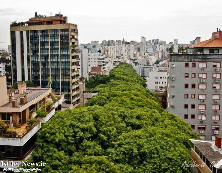خیابان Gonçalo   کاروالهو در  بندر آلگره  برزیل