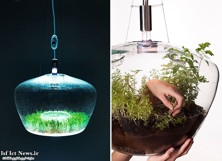 لامپ گلخانه ای1