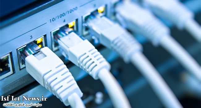 network cables connected to switch